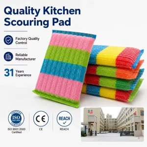 Reusable Oil-Removing Dishwashing Sponge Scouring Pads