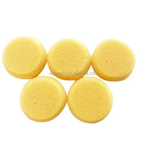 Round Synthetic Artist Painting and Ceramic Tool Sponge Pads