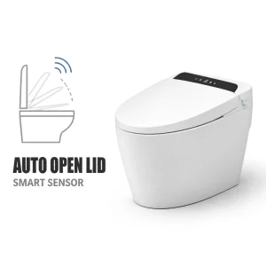 Smart Toilet with Wireless Remote Digital Display Heated Seat Warm Water Wash Auto Flush Night Light and Air Dryer