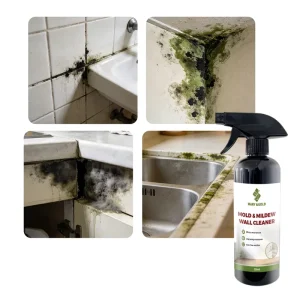 Strong Eco Friendly Mold Remover Spray 50% 80% Active Ingredients 3 Year Shelf Life Customizable Logo Packaging Walls Flooring