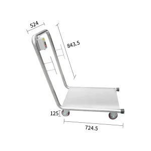 Swimming Pool Cleaner Trolley Stainless Steel Cleaning Cart for Water Pump and Filter