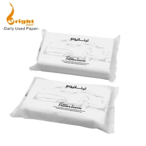 Ultra Soft 100 Sheets 2 3 Ply Travel Use Small Pack Facial Tissue