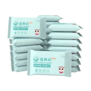 Ultra Soft Biodegradable Non-Woven 10-Piece Bag Household Toilet Flushable Wet Wipes Kill 99.9% Germs Gentle Effective Personal