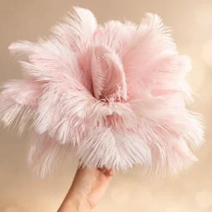 Washed Ostrich Feather Duster for Home Hotel Office Car Furniture and Gifts